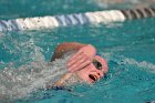 Swimming vs Babson  Wheaton College Swimming vs Babson College. - Photo By: KEITH NORDSTROM : Wheaton, Swimming, Babson